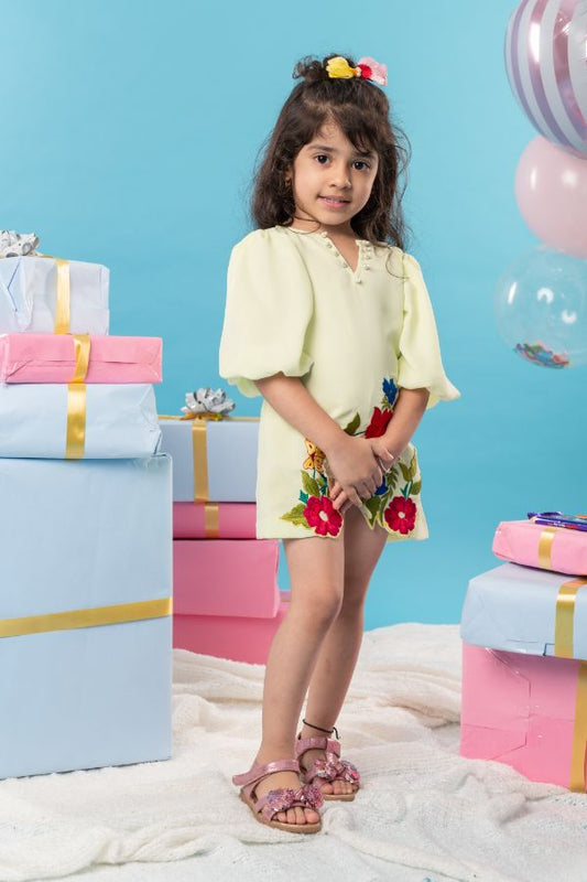 Thread Embroidered frock with balloon sleeves - Kirti Agarwal