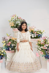 Stunning Embroidered Top And Lehenga