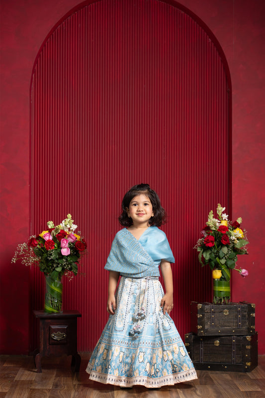 Powder Blue Draped Blouse & Printed Lehenga Set – A Modern Royal Dream