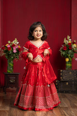 Sequin Embroidered Red Top And Lehenga With Matching Net Dupatta