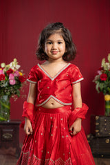 Sequin Embroidered Red Top And Lehenga With Matching Net Dupatta