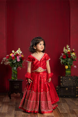 Sequin Embroidered Red Top And Lehenga With Matching Net Dupatta