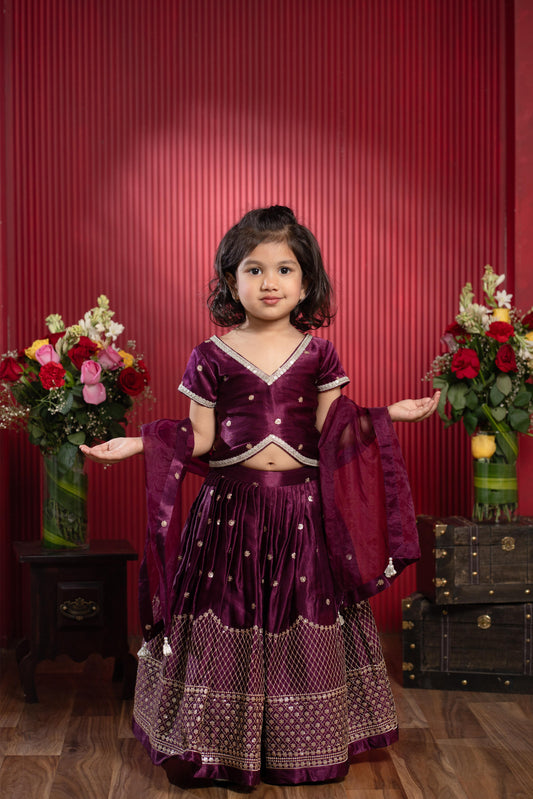 Sequin Embroidered Wine Top And Lehenga With Matching Net Dupatta