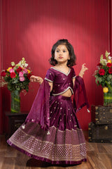 Sequin Embroidered Wine Top And Lehenga With Matching Net Dupatta