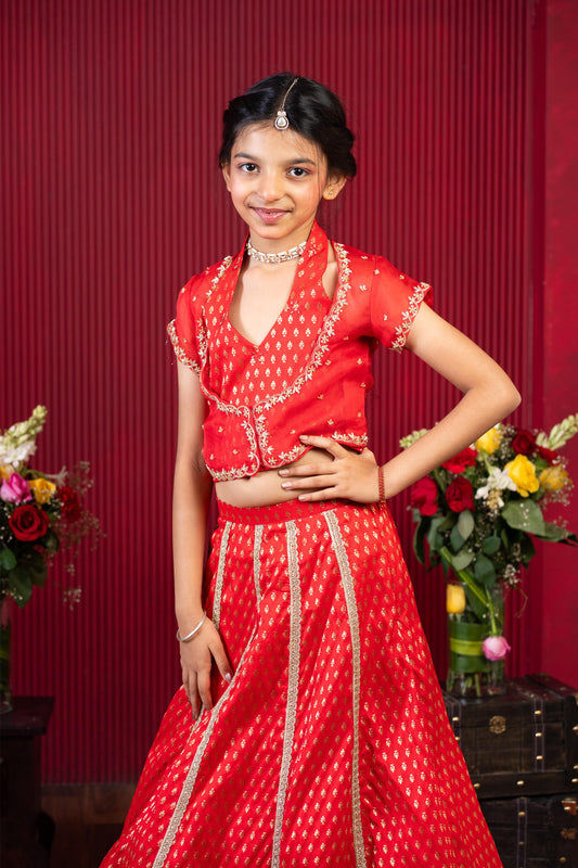 Royal Red & Gold Embroidered Lehenga Set – A Timeless Festive Classic for Young Divas
