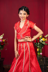 Royal Red & Gold Embroidered Lehenga Set – A Timeless Festive Classic for Young Divas