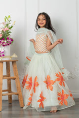 Round Neck sea green Top And Floral Applique Embroidered Lehenga - Kirti Agarwal