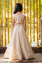 Elegant sequin work Top And Heavy Sequins Embroidered flower Lehenga - Kirti Agarwal