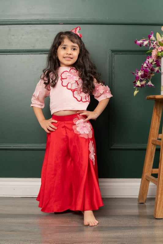 Flower Embroidered pink top with red embroidered pants - Kirti Agarwal