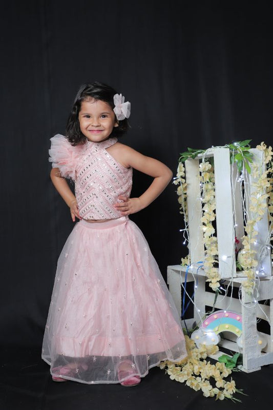 Sleeveless Feathered Top with Ghagra - Kirti Agarwal