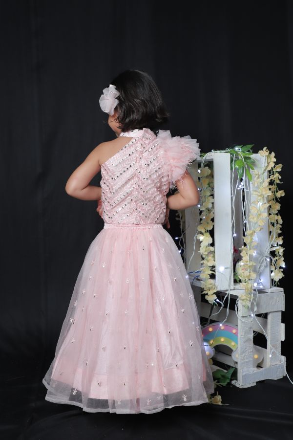 Sleeveless Feathered Top with Ghagra - Kirti Agarwal