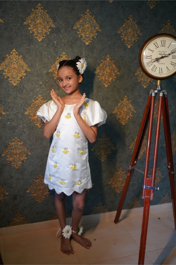 White Imported dress with handwork embroidery all over - Kirti Agarwal