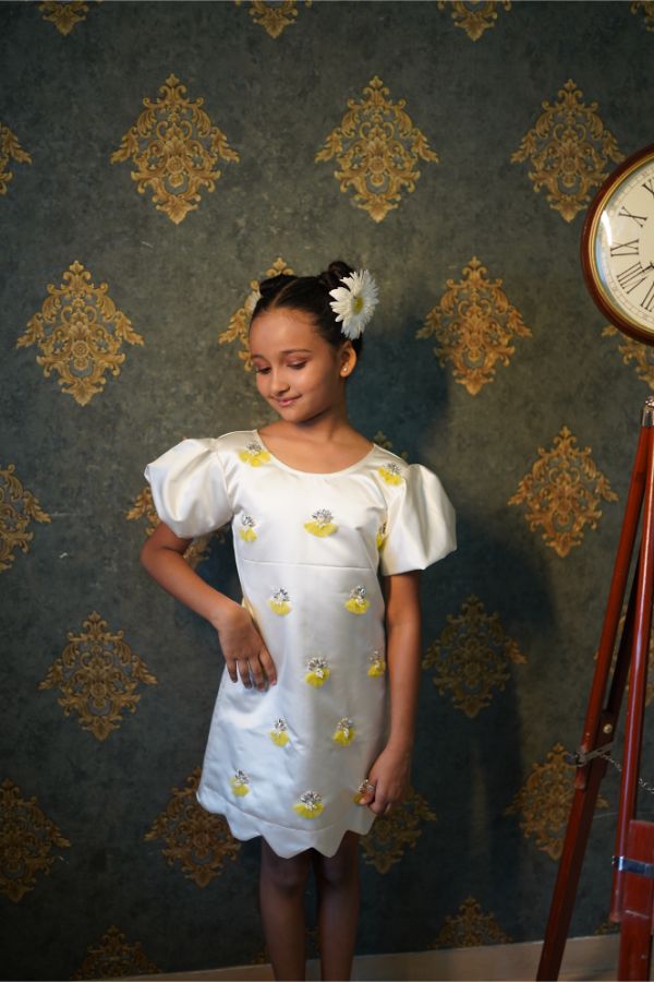 White Imported dress with handwork embroidery all over - Kirti Agarwal